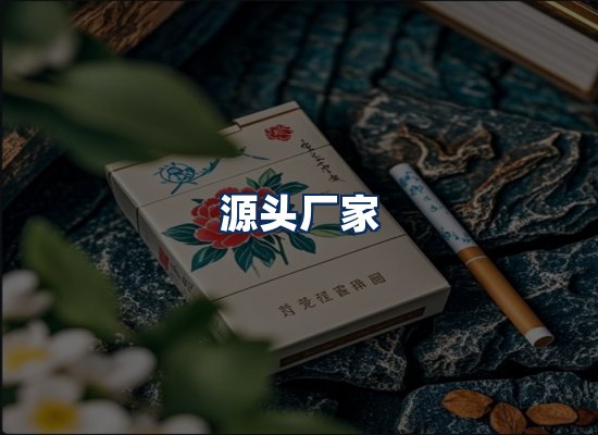 专业团队办公环境